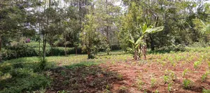 One Acre for Sale in Ngong Off Maasai Road.