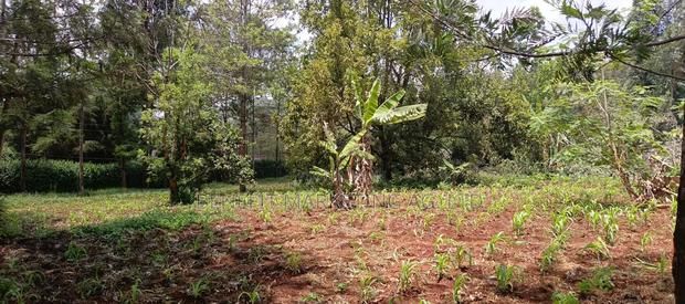 One Acre for Sale in Ngong Off Maasai Road. - thumbnail 2