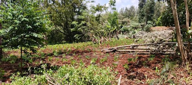 One Acre for Sale in Ngong Off Maasai Road. - thumbnail 4