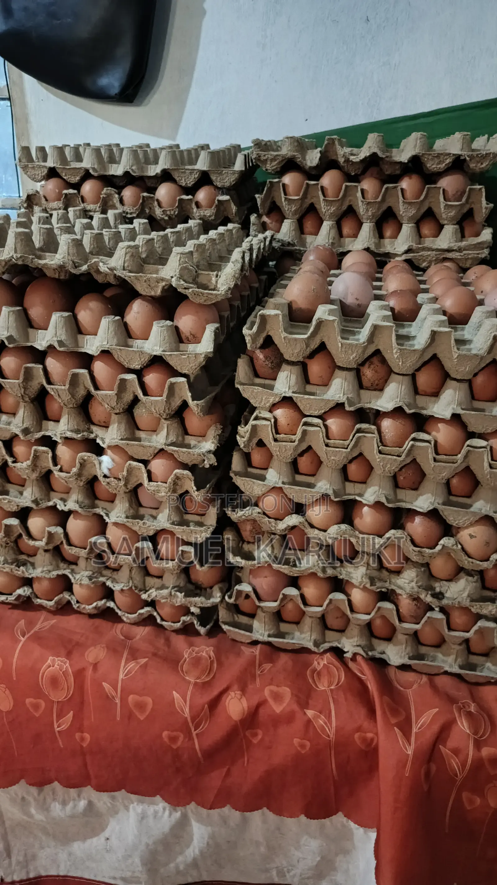 Eggs -Layers