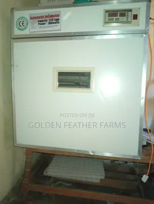 Automatic Incubator