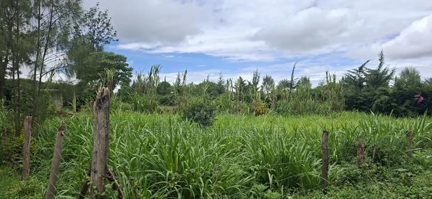 Prime 50x100 Plot for Sale in Naivasha Kinamba - thumbnail 3