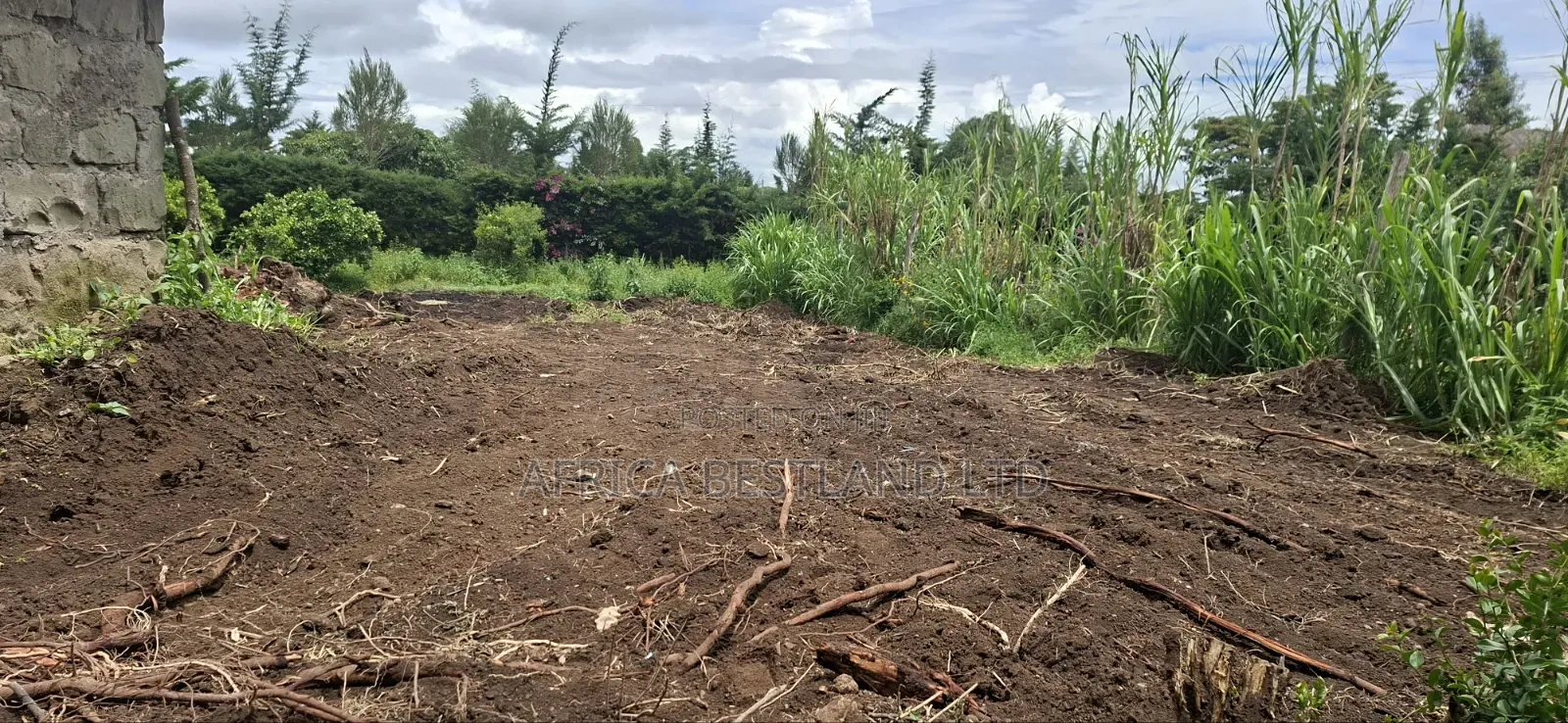 Prime 50x100 Plot for Sale in Naivasha Kinamba