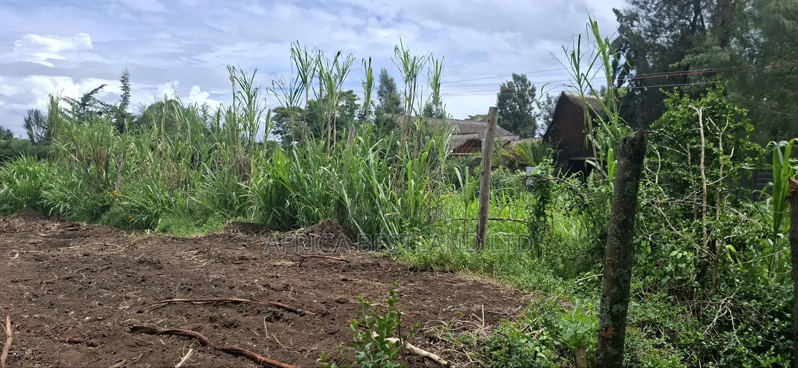 Prime 50x100 Plot for Sale in Naivasha Kinamba