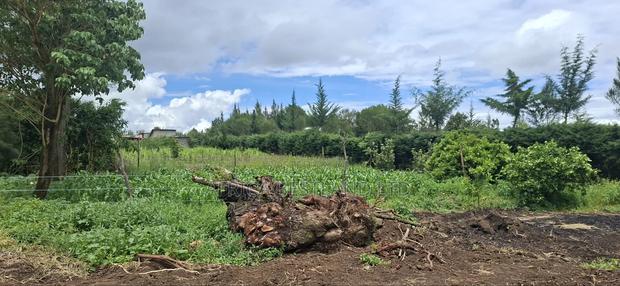 Prime 50x100 Plot for Sale in Naivasha Kinamba - thumbnail 10