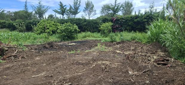 Prime 50x100 Plot for Sale in Naivasha Kinamba - thumbnail 11