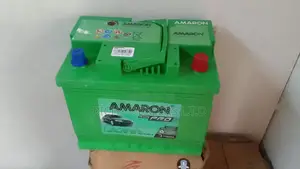 Amaron Din55mf Battery