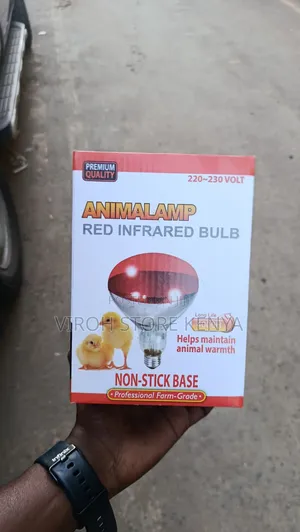 Chicks Bulb Warming Ac Bulb