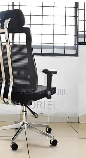 Office Chair : Orthopedic Office High-back Chair