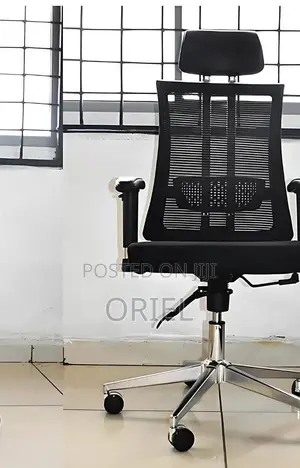 Office Chair : Orthopedic Office High-back Chair