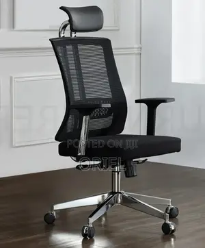 Office Chair : Orthopedic Office High-back Chair