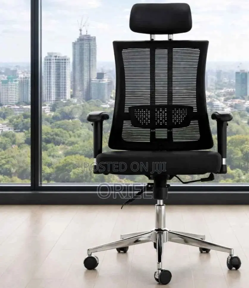 Office Chair : Orthopedic Office High-back Chair