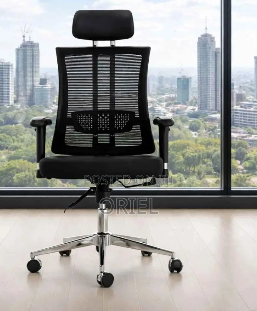 Office Chair : Orthopedic Office High-back Chair