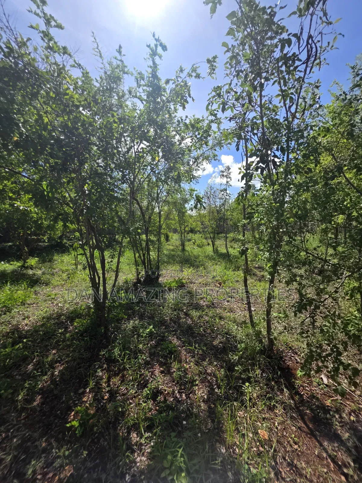 1/2 Acre Plot for Sale in Diani Galu Kinondo