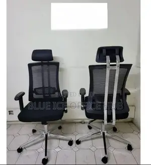 Executive Office Chair With Back Supporters