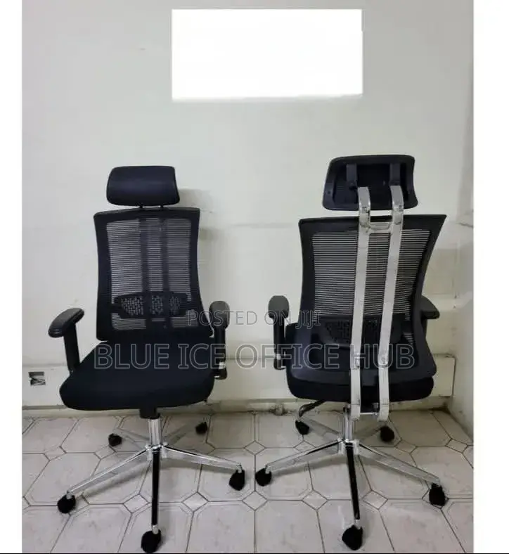 Executive Office Chair With Back Supporters