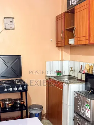 Studio BNB Apartments in Hopewell Naivasha