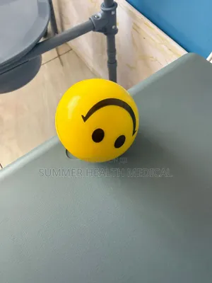 Exercise Balls