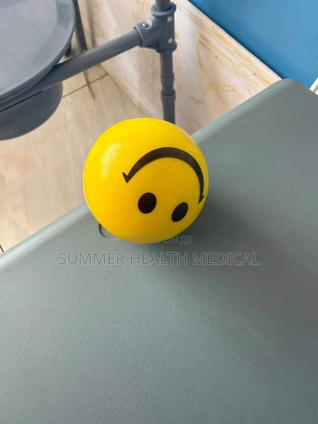 Exercise Balls