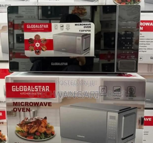 Modern 20l Globalstar Microwave