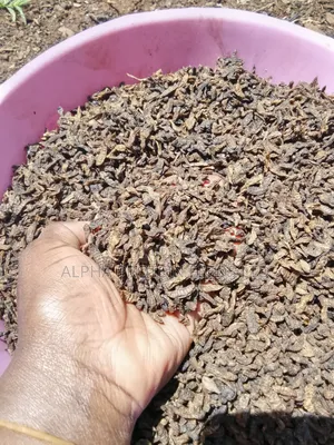 BSF Dried Larvae