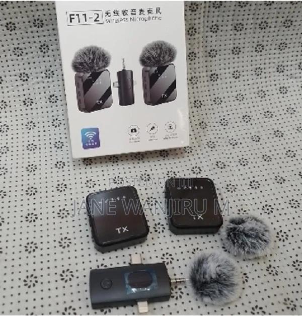 Affordable F11-2 Wireless Microphone - main view