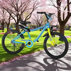 Open Style Swing MTB