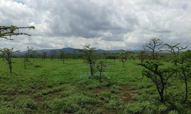 6 Acres Land in Nanyuki Mukima Area - thumbnail 2