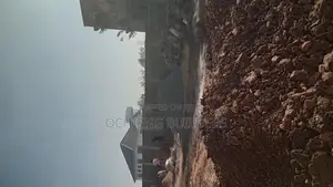 Building and Construction