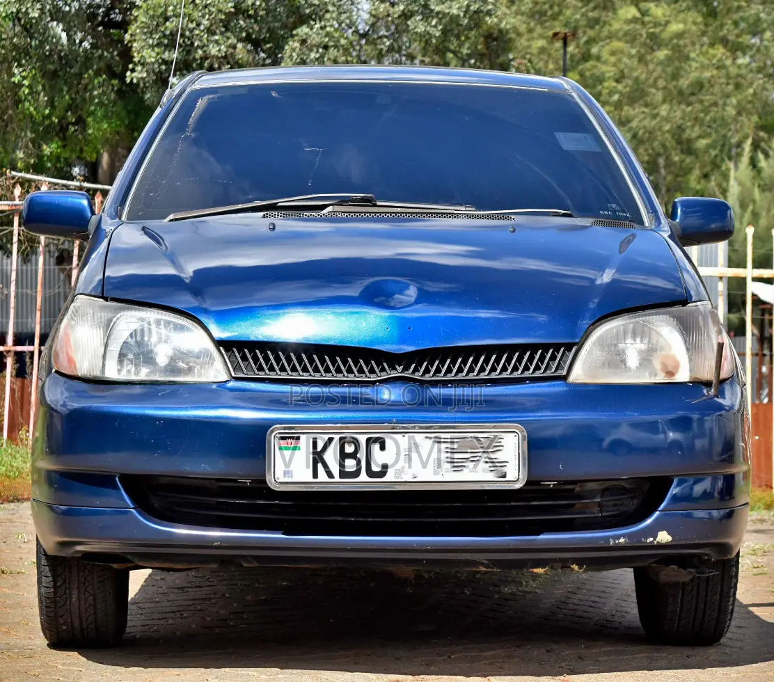 Toyota Platz 2001 Blue
