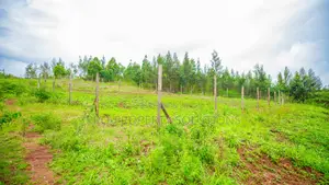 50 By 100ft Prime Residential Plots For Sale In Kikuyu, Kamangu