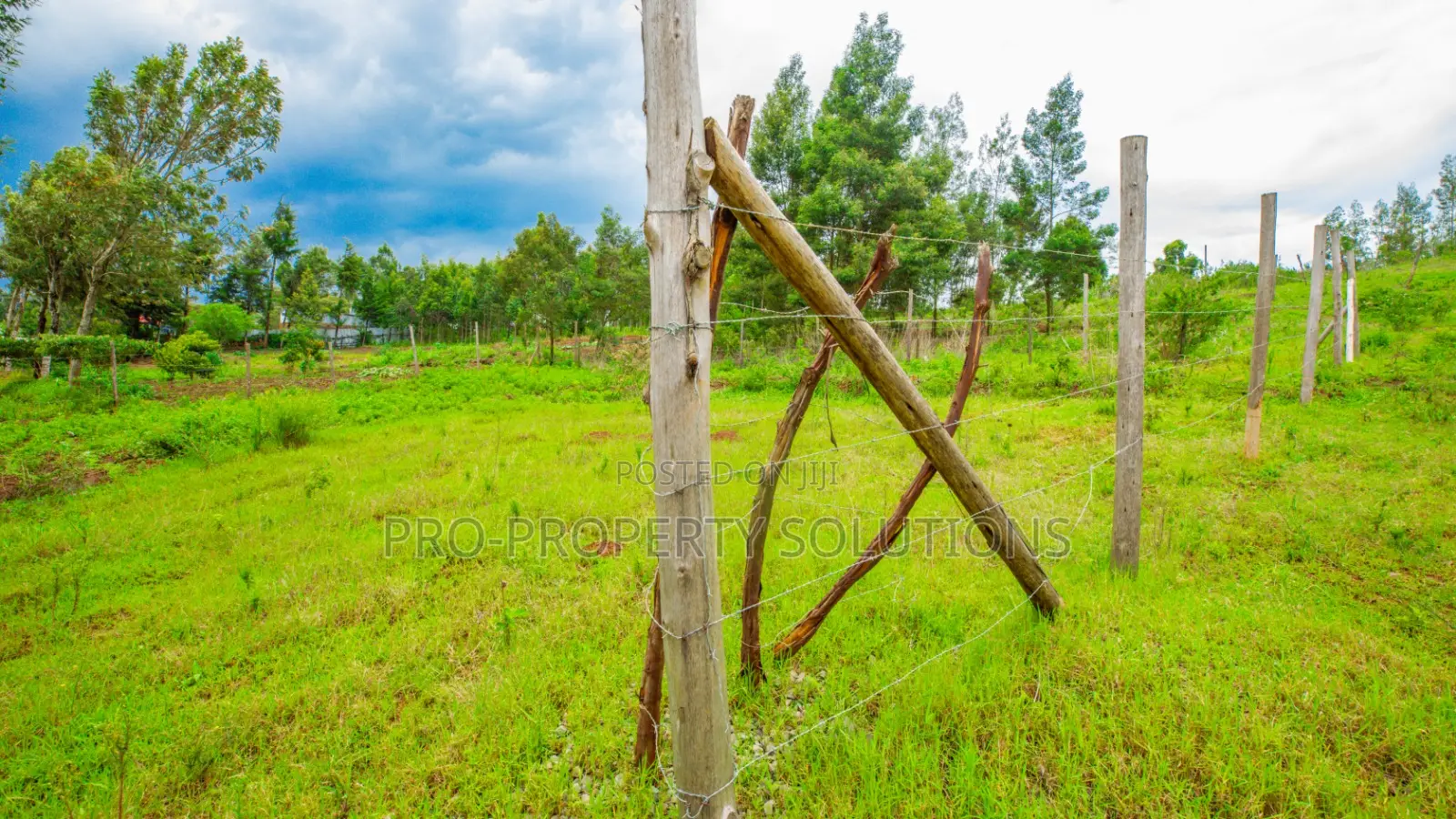 50 By 100ft Prime Residential Plots For Sale In Kikuyu, Kamangu