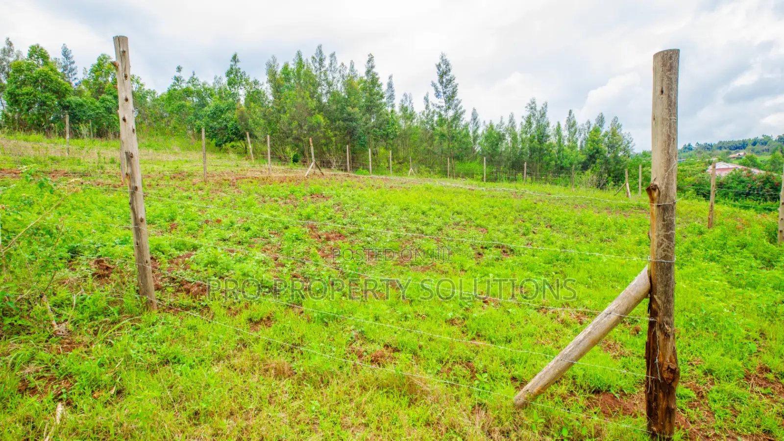 50 By 100ft Prime Residential Plots For Sale In Kikuyu, Kamangu