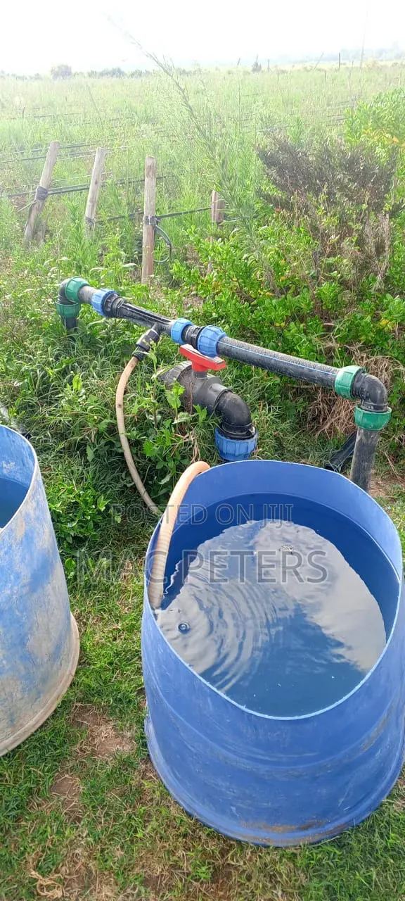 Prime Horticultural Farm for Sale – Naromoru