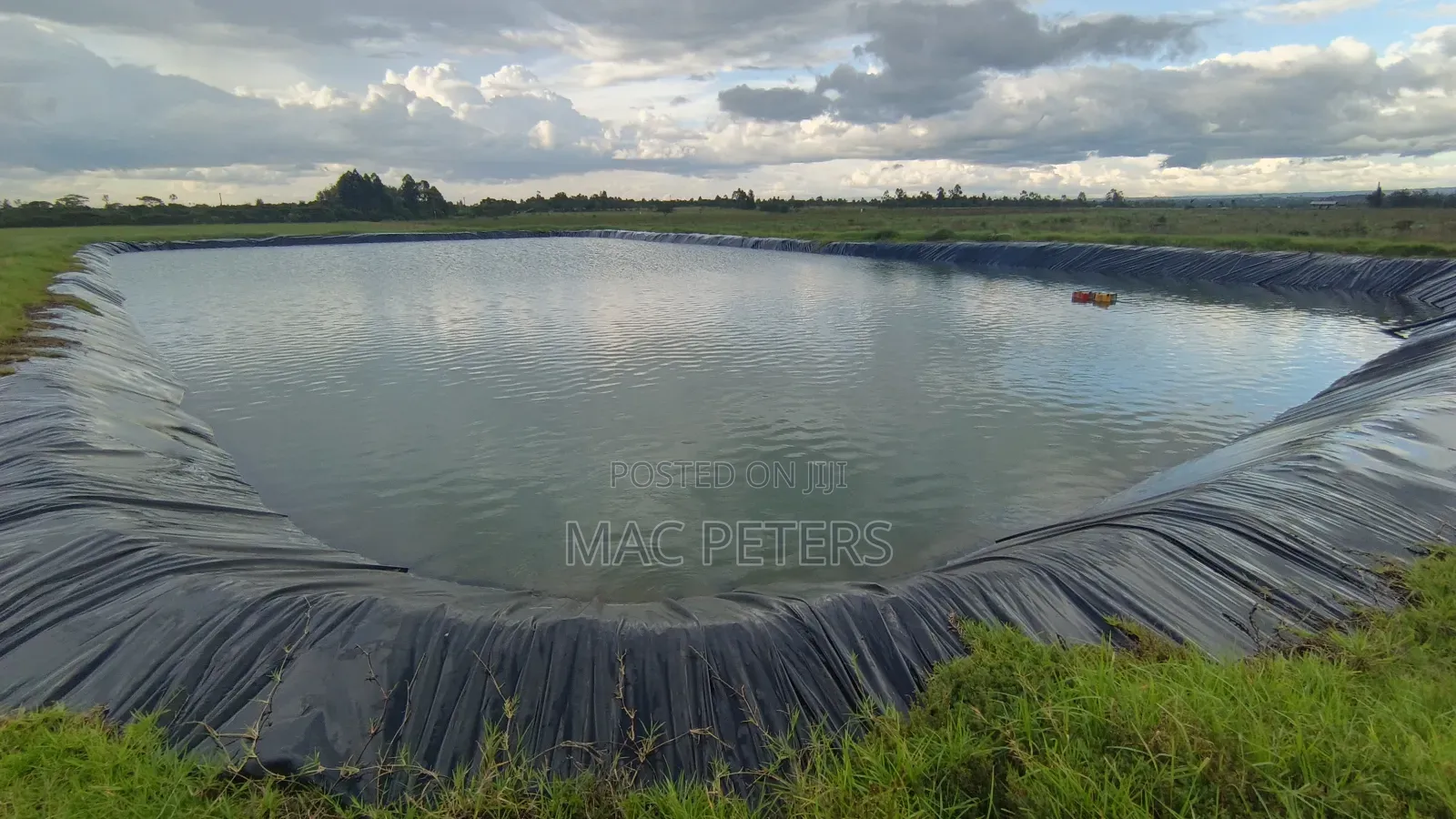 Prime Horticultural Farm for Sale – Naromoru