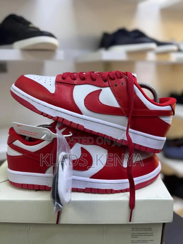 Sb Nike Dunks