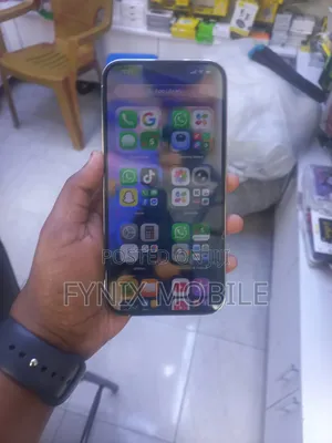 Apple iPhone 13 Pro Max 256 GB Silver