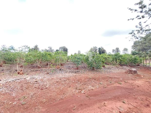 Muthithi Estate 1/2 Acre Residential Plot For Sale - thumbnail 2