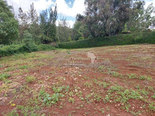 Muthithi Estate 1/2 Acre Residential Plot For Sale - thumbnail 4