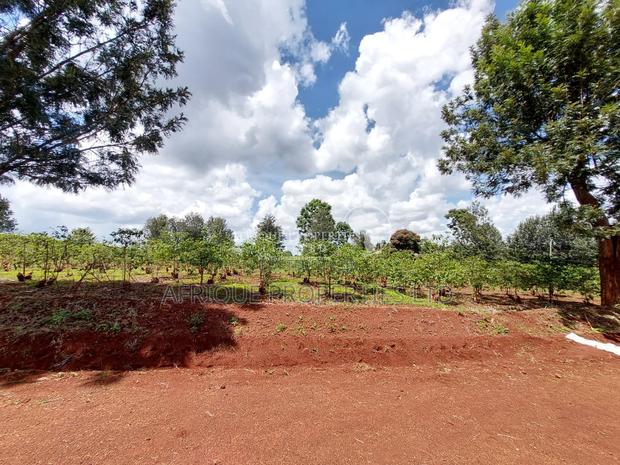 Muthithi Estate 1/2 Acre Residential Plot For Sale - thumbnail 7