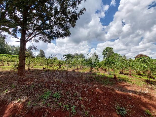 Muthithi Estate 1/2 Acre Residential Plot For Sale - thumbnail 8