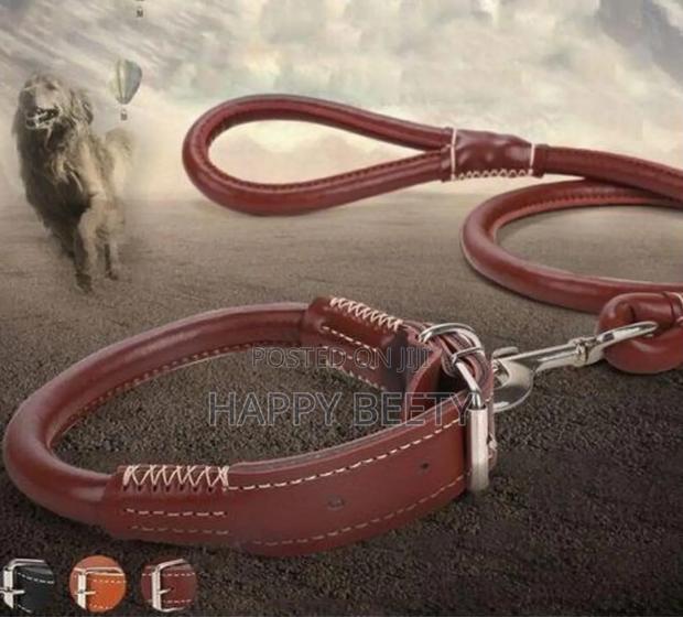 *Complete Set Easy Grip Rolled Up Leather Dog Collar and Leash*