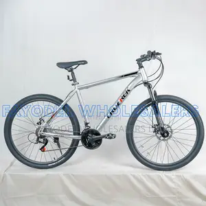 Size 27.5 Cruztrek Komet Gray With Trigger Shifters
