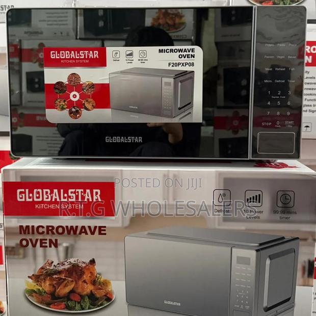 Globalstar 20l Digital Microwave – Silver Finish