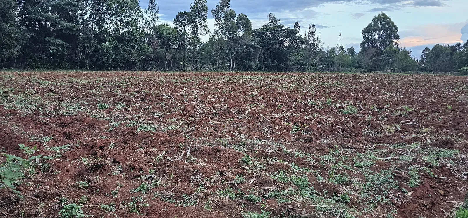 1 a Re for Sake in Simat Kipkenyo Eldoret