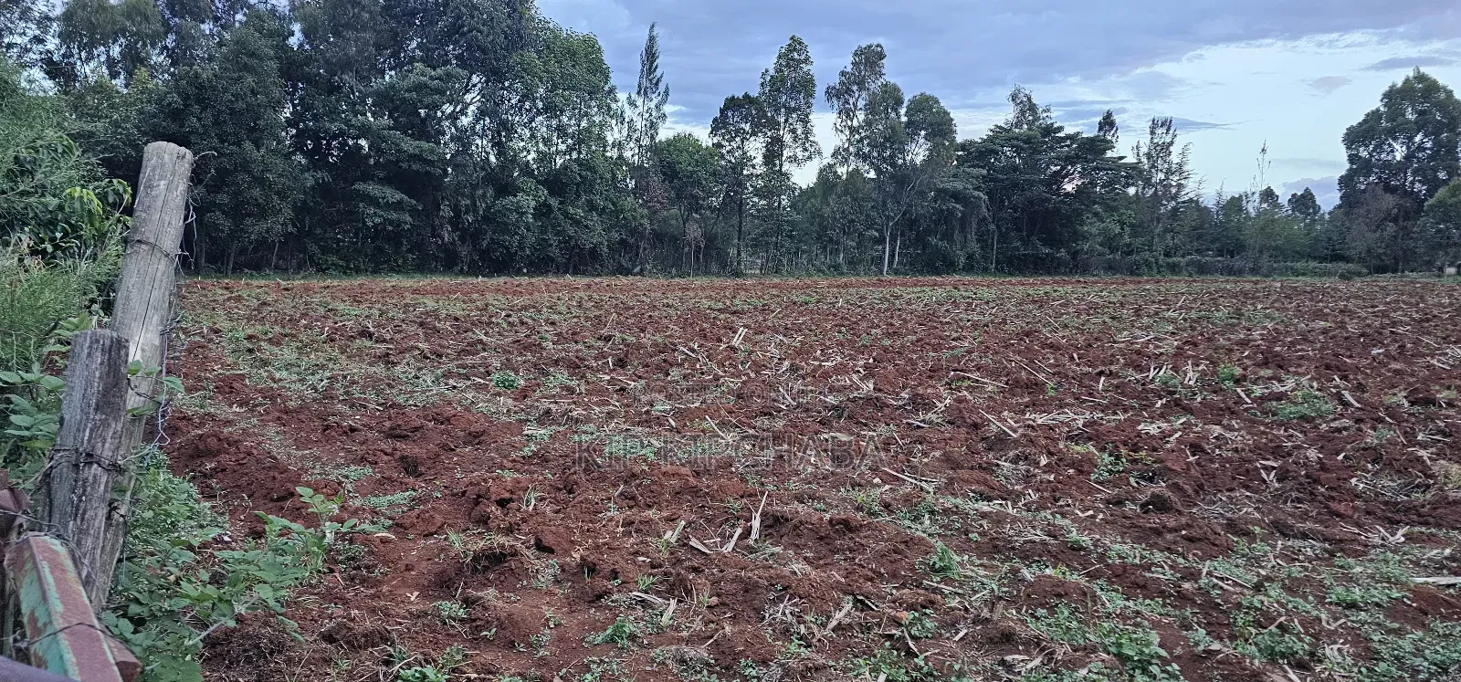 1 a Re for Sake in Simat Kipkenyo Eldoret