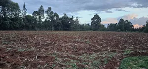 1 a Re for Sake in Simat Kipkenyo Eldoret