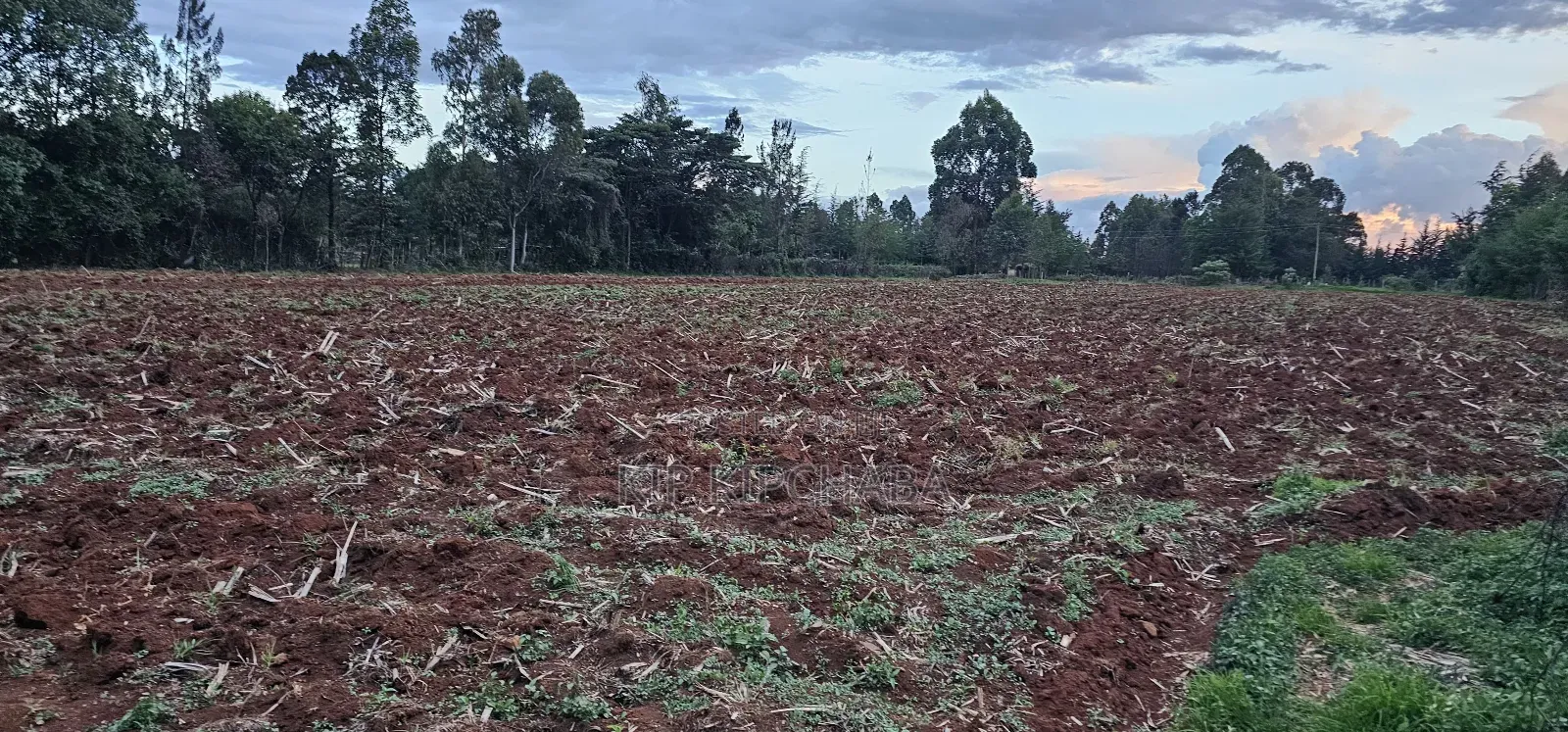 1 a Re for Sake in Simat Kipkenyo Eldoret