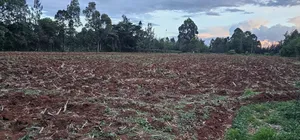 1 a Re for Sake in Simat Kipkenyo Eldoret