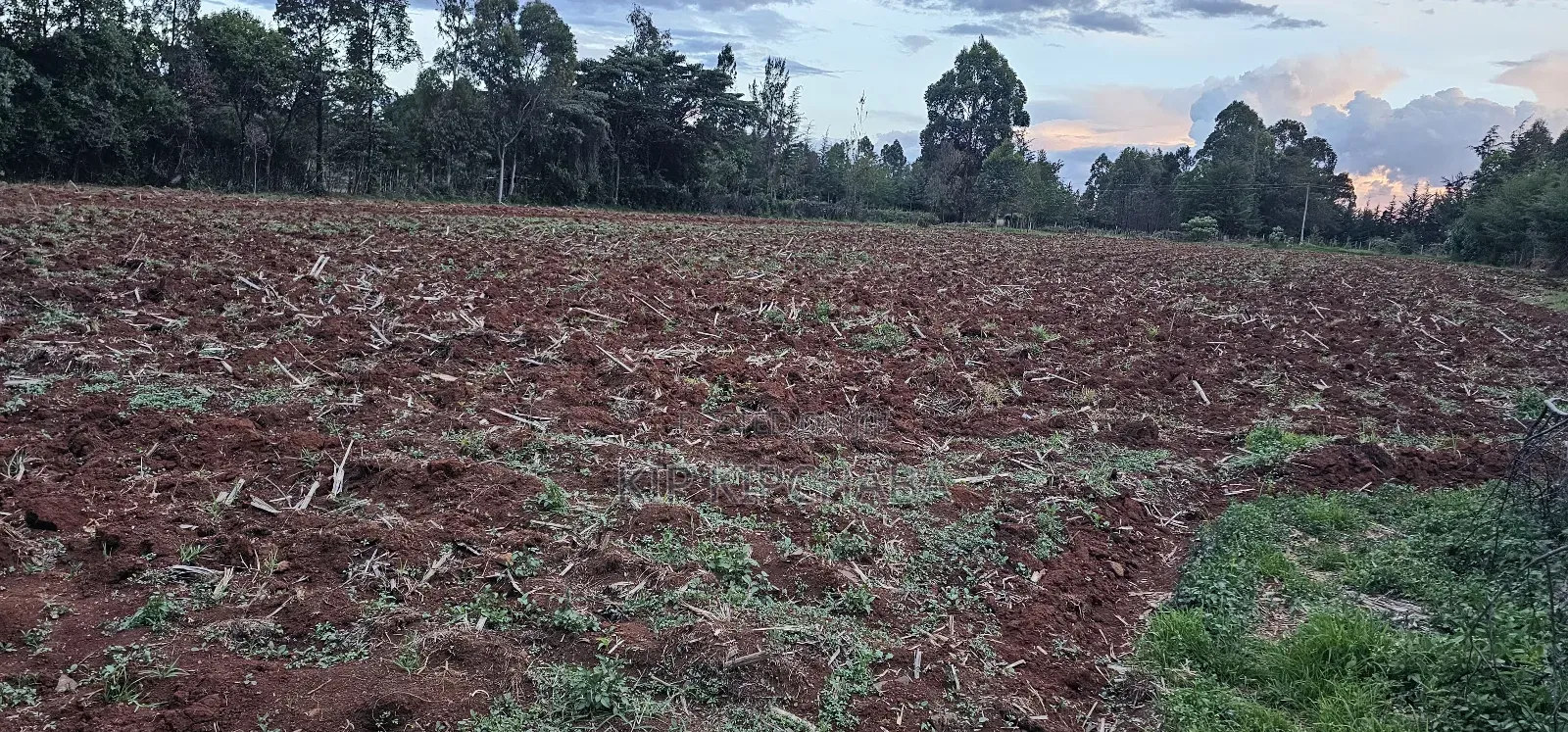 1 a Re for Sake in Simat Kipkenyo Eldoret